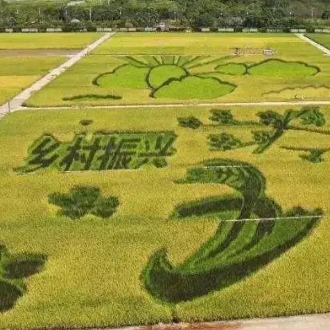 图片展示